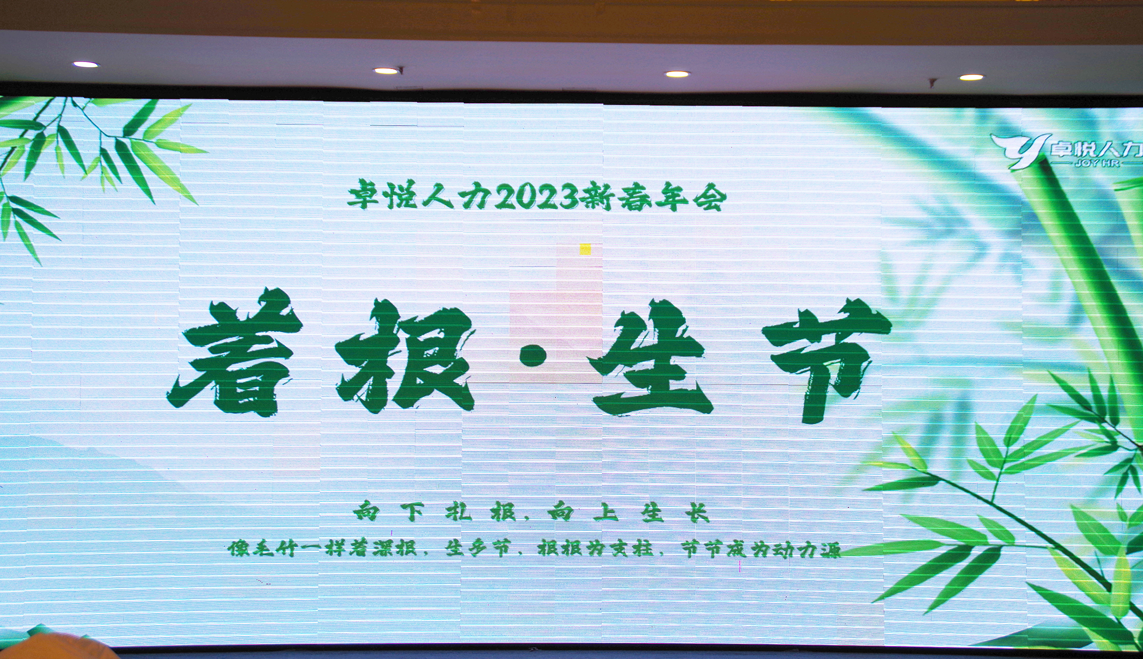 超燃！热烈庆祝卓悦人力2023“着根·生节”主题年会圆满成功